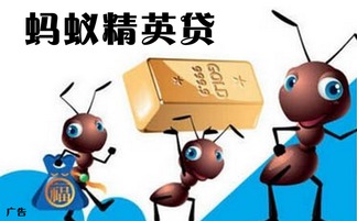 陜西興海普惠信息咨詢服務(wù)有限旬陽分公司 專業(yè)信息咨詢服務(wù)的領(lǐng)航者