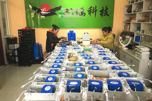 太陽能膠體電池選購指南 從生產(chǎn)廠家到現(xiàn)貨銷售的全流程解析